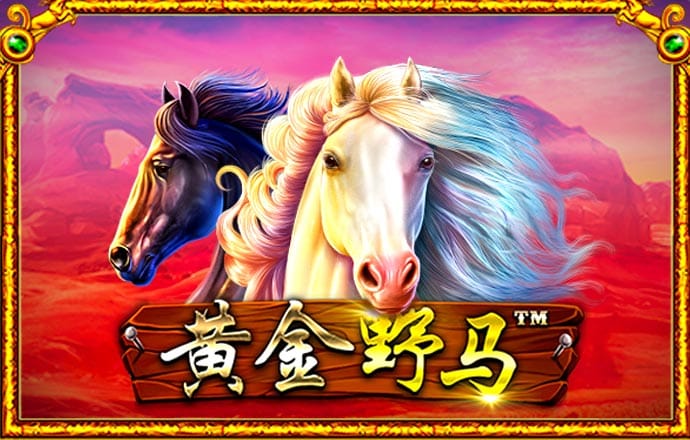 JN体育登录入口